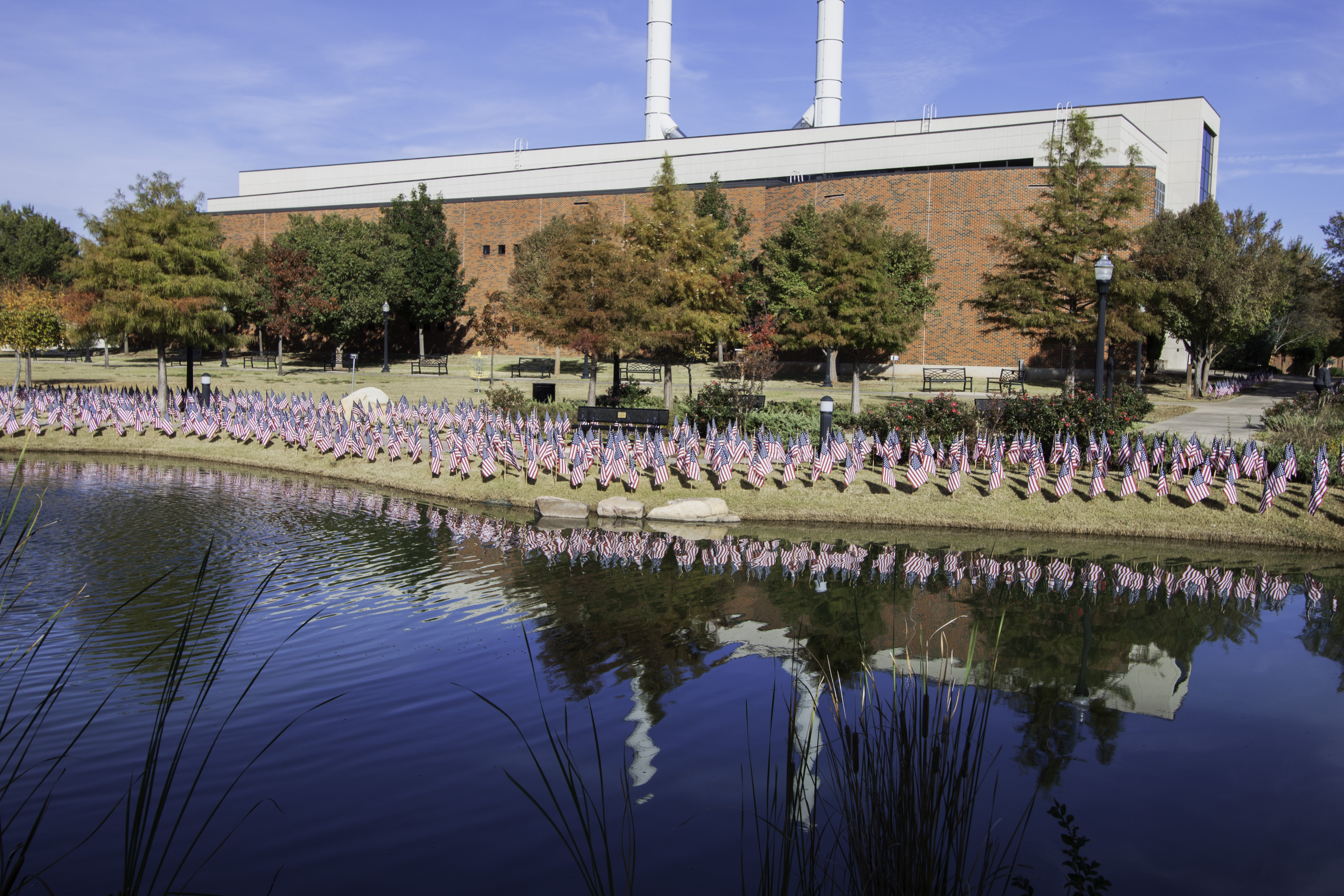 Photo of American flags displayed around Bentley Gardens