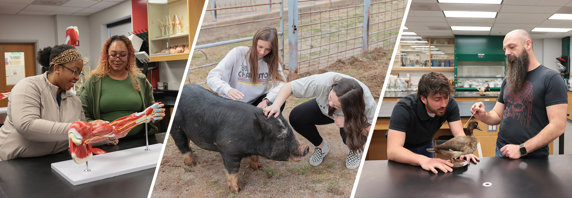 Students and animals